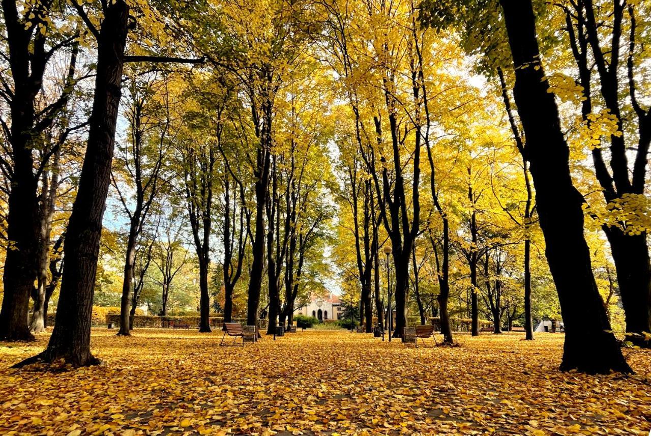 Royal Lazienki. Beautiful Apartment By The Park. 바르샤바 외부 사진